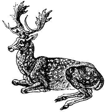 Canbury School emblem