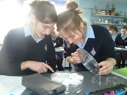 picture of St Joseph's School